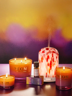 NEW Cosy Nights Collection