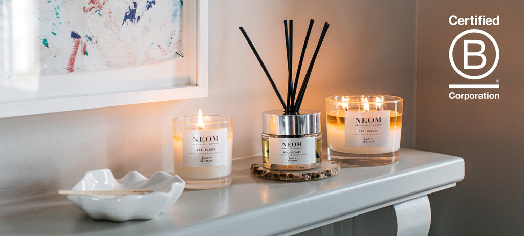 Our Journey Into Becoming A B Corp And What This Meant For Us