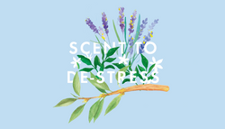 Here… have some Real Luxury!