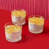 Happiness Scented Candle (3 Wick)