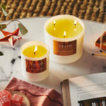 Christmas Wish Scented Candle (1 Wick)