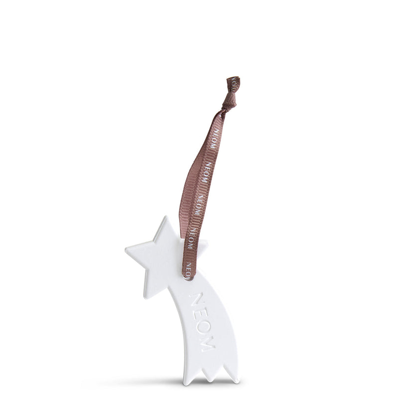 Ceramic Shooting Star Natural Diffuser