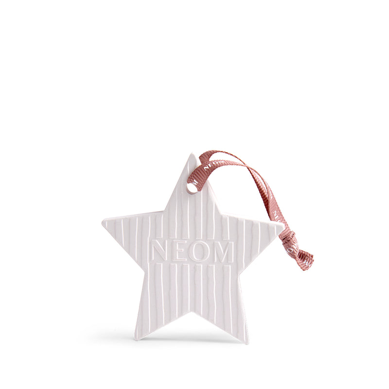 Ceramic Star Natural Diffuser