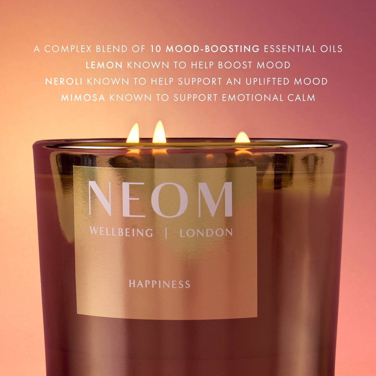 Christmas Exclusive Happiness Scented Candle (3 Wick)