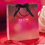 Christmas Gift Bag