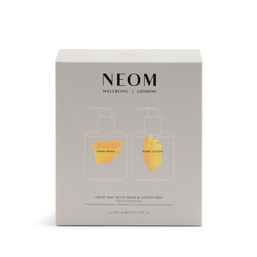 Great Day Exfoliating Hand Wash & Lotion Duo