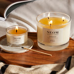 Hibernate Scented Candle (3 Wick)