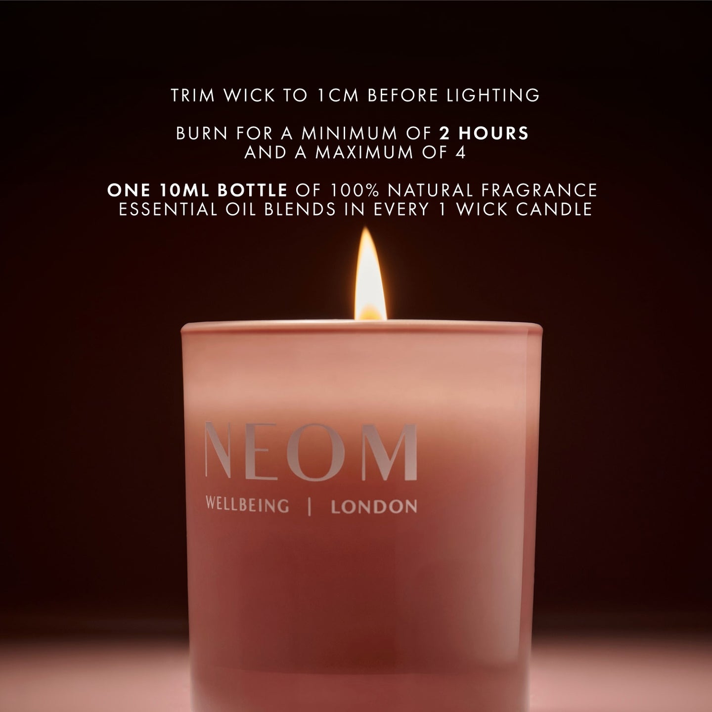 The Wind Down Scented Candle (1 Wick)
