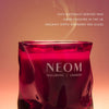 Christmas Wish Scented Candle (Travel)
